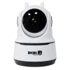 دوربین مدار بسته اسفیورد مدل Z211